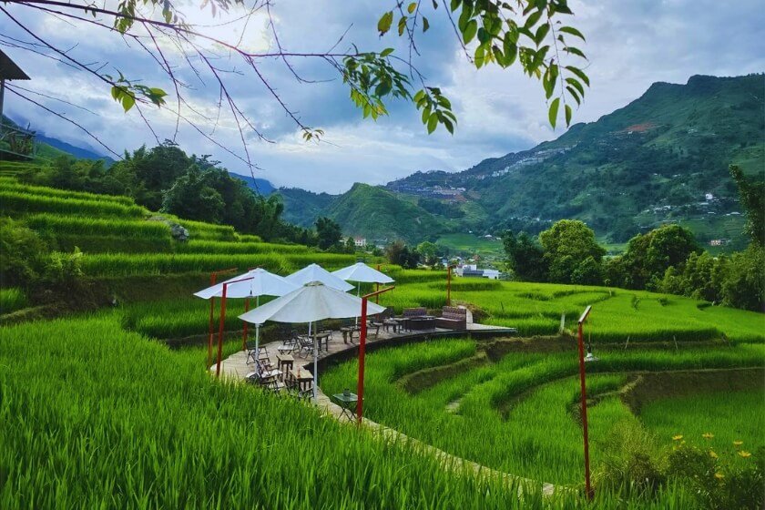 Image gallery